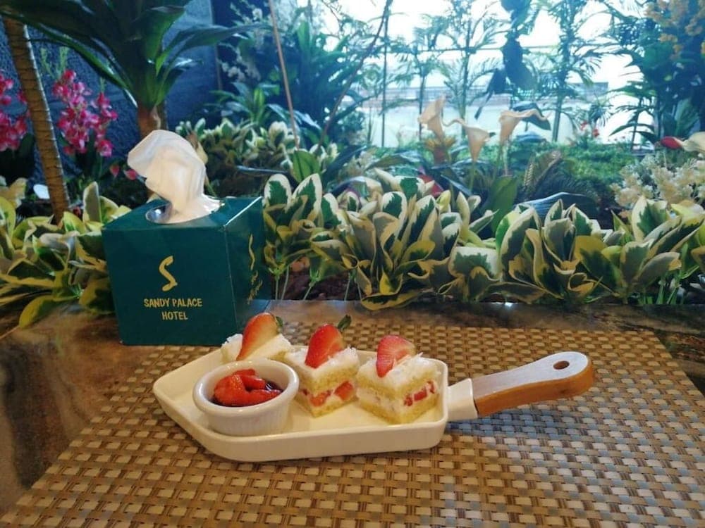 Sandy palace Hotel