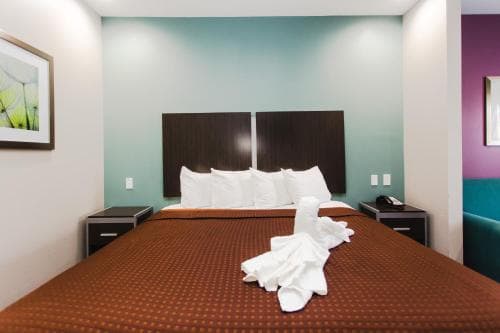 Express Inn - Spring