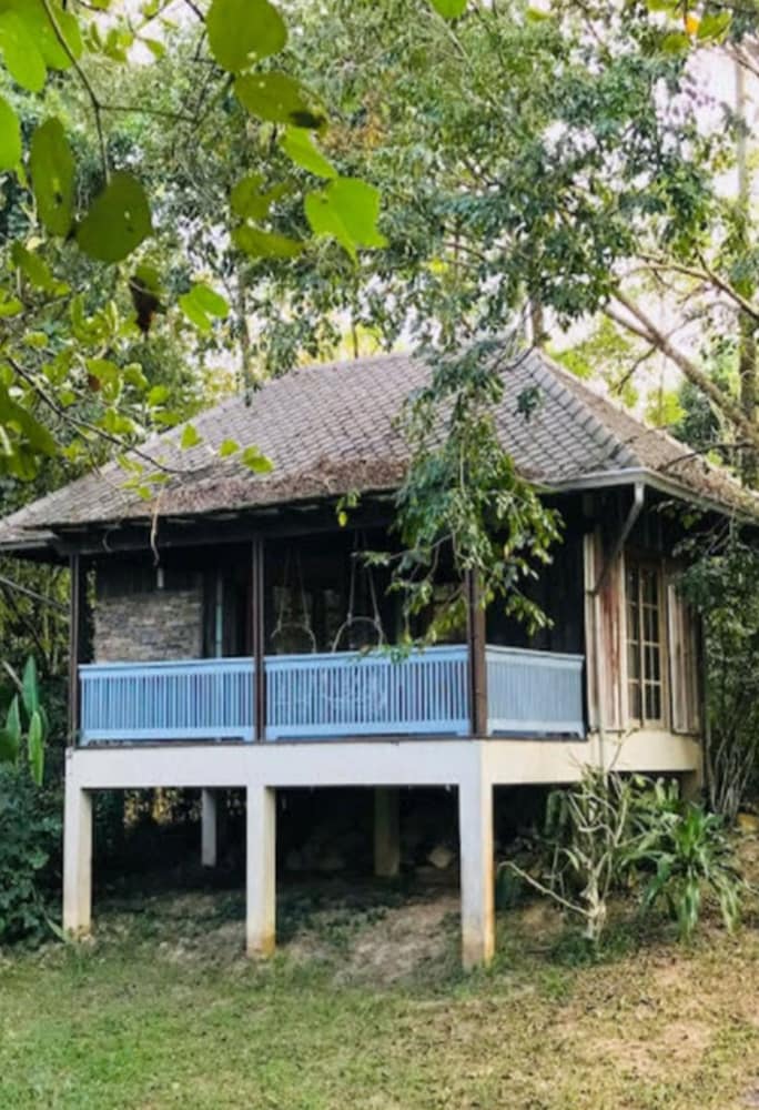 A serene tropical bungalow with a thatched roof and wooden balcony nestled among lush greenery offers a tranquil retreat for eco-conscious travelers seeking a peaceful getaway.