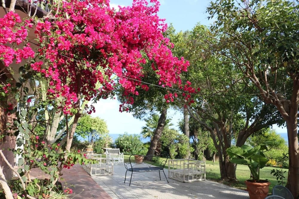 Villa delle Palme