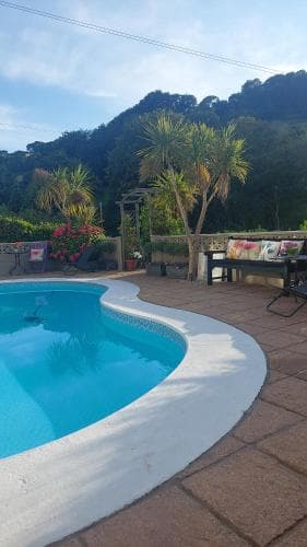 A serene tropical retreat features a sparkling pool surrounded by lush greenery, vibrant flowers, and palm trees, ideal for relaxing vacations.