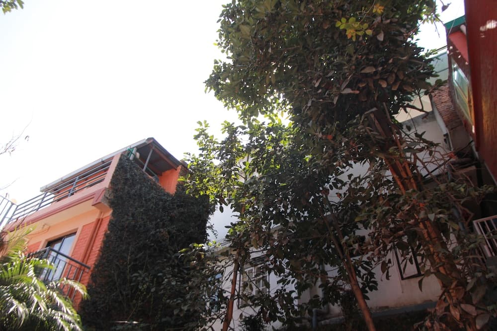 Ojas Wellness B&B