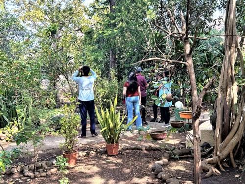 Gir Birding Lodge