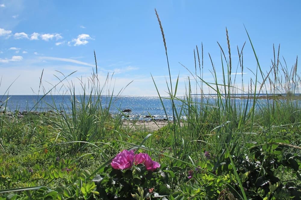 Hölick Havsresort