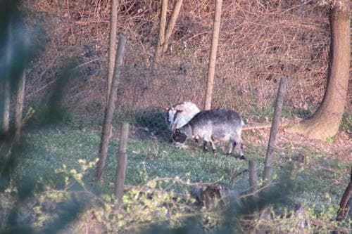 B&B Cascina Rossa