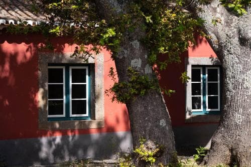 Quinta das Vinhas
