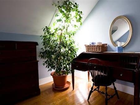 Farnam Guest House