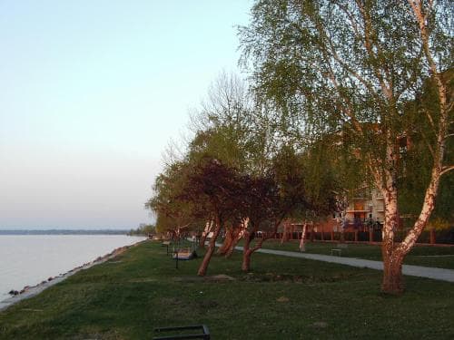Koppi Ház