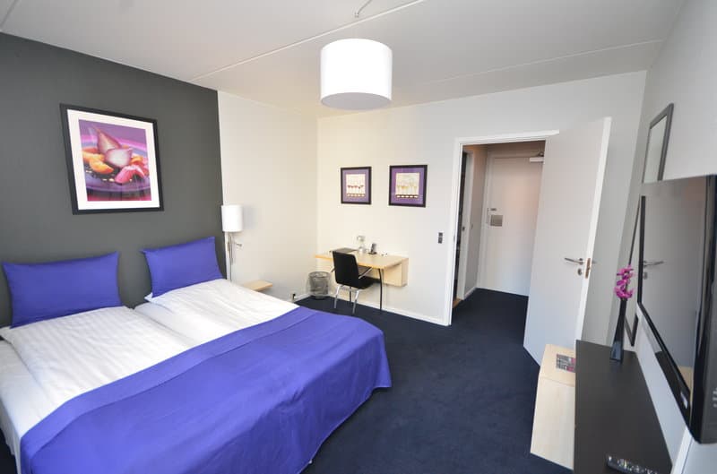Hotel Danica