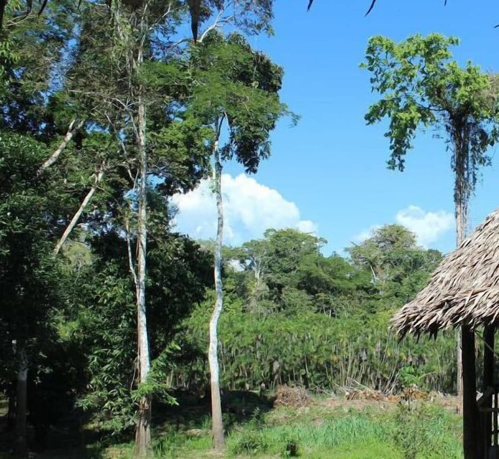 Cumaceba Amazon Lodge