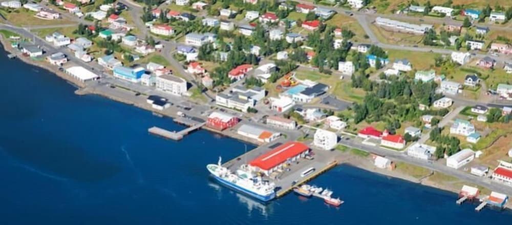 An aerial view captures a quaint coastal town with colorful houses, a bustling harbor featuring a large ferry docked at the pier, and lush greenery, ideal for travelers seeking a serene seaside retreat.