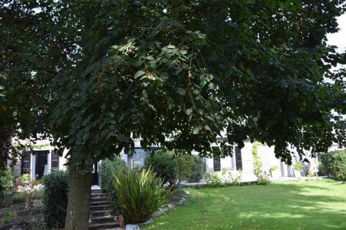 Mont B&B