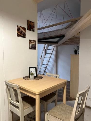 Nemuno upės apartamentai