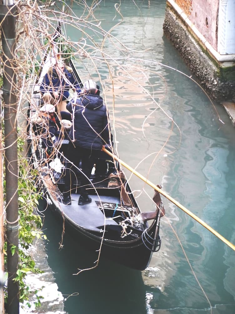 Appartamento alla Fenice