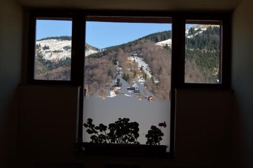 Hotel Rusu