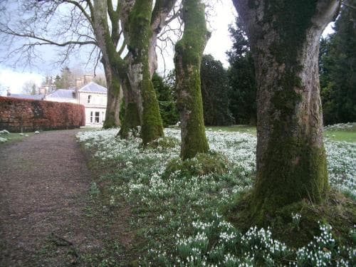 Gardenvale B&B