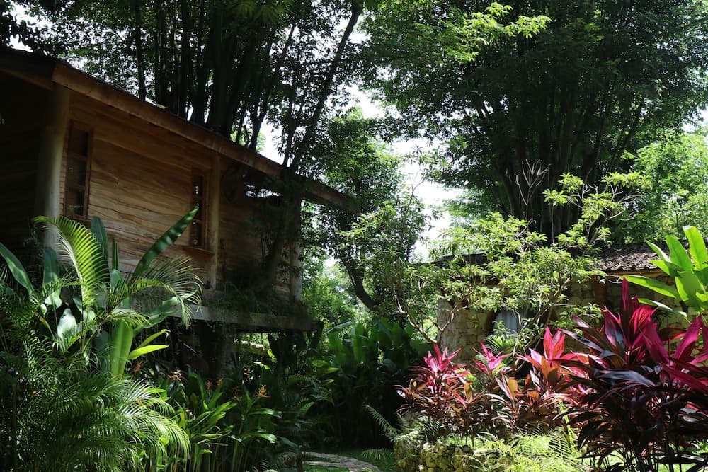 Roots Tree House