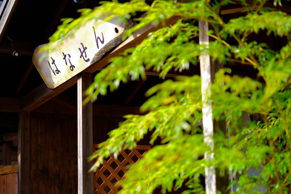 Hanasen
