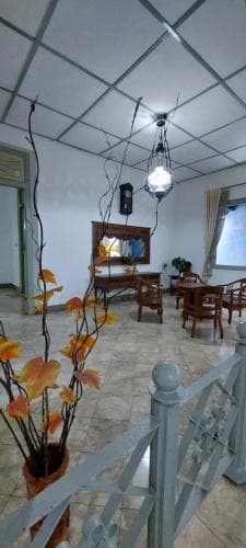 Hostel Backpacker 44