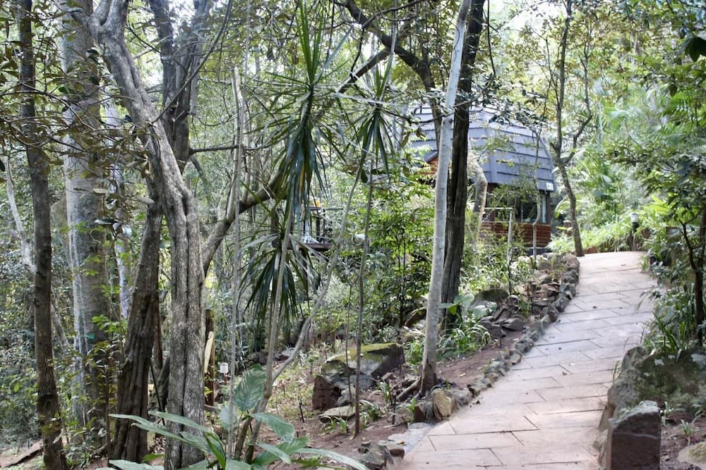 Serenity Mountain And Forest Lodge