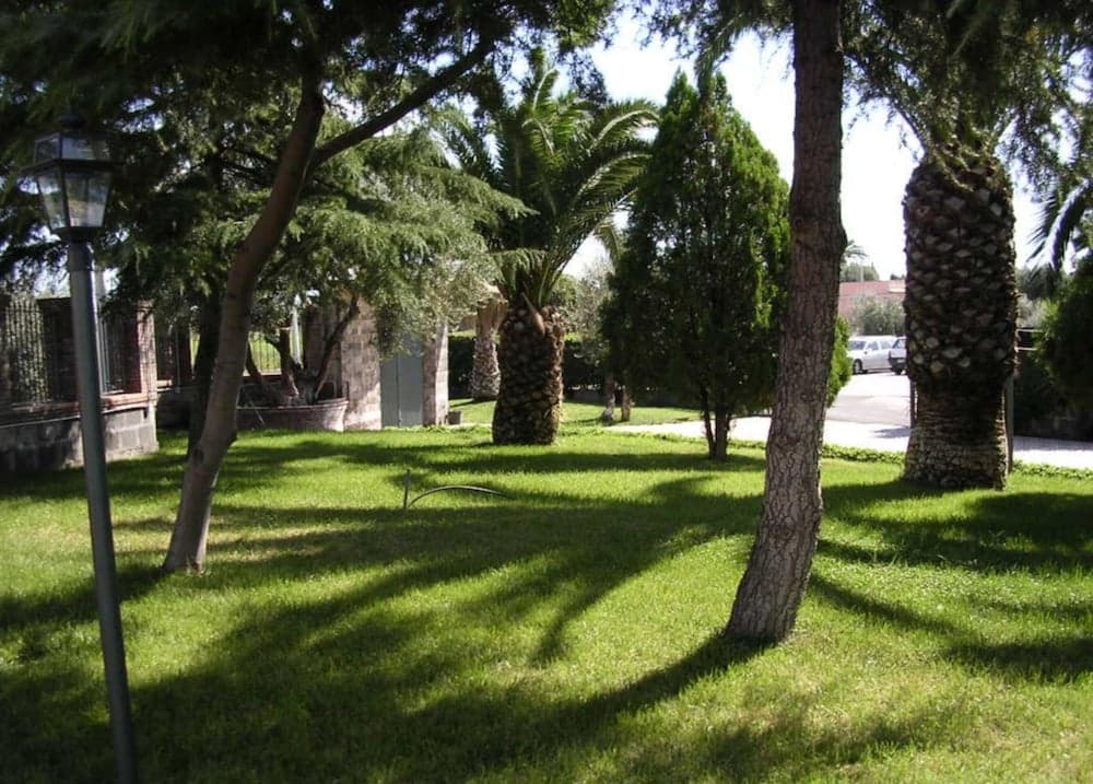 Valle degli Ulivi