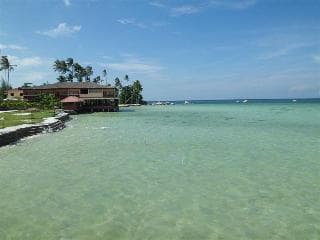 A serene tropical beach scene features clear turquoise waters, lush greenery, and palm trees, ideal for a relaxing vacation getaway.