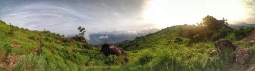 Bamboo Hut Munnar
