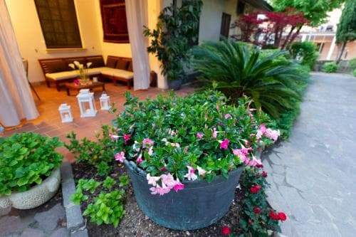 Maison Gardenia