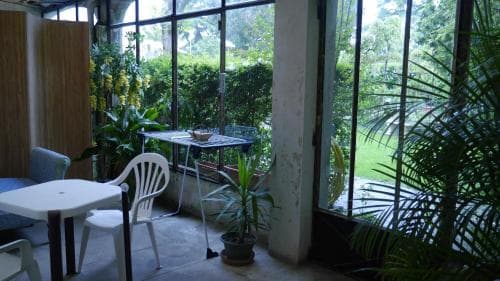 A cozy indoor-outdoor café space features simple white furniture surrounded by lush greenery, creating a serene and inviting atmosphere ideal for travelers seeking relaxation or a quiet work spot.