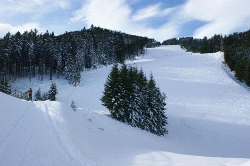 Haus Feichtner