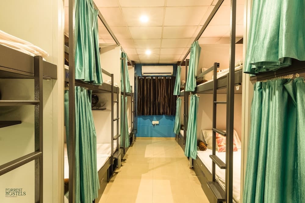 Forrest Hostels