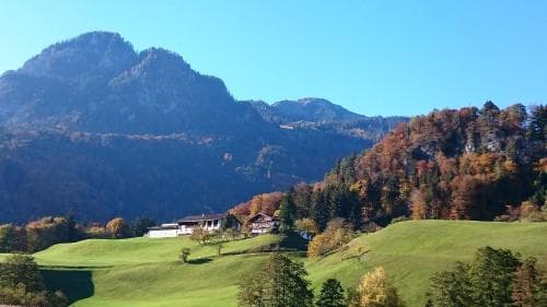 Bauernhof Pulvererhof