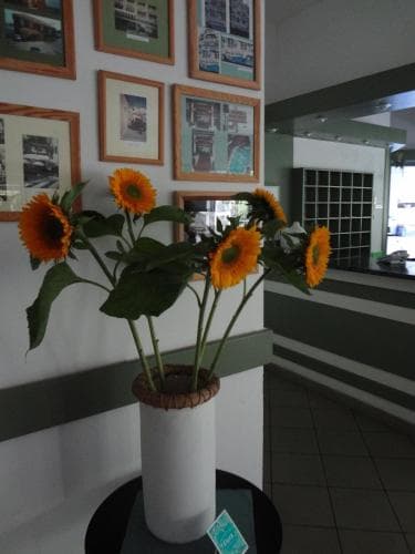 Hotel Flora