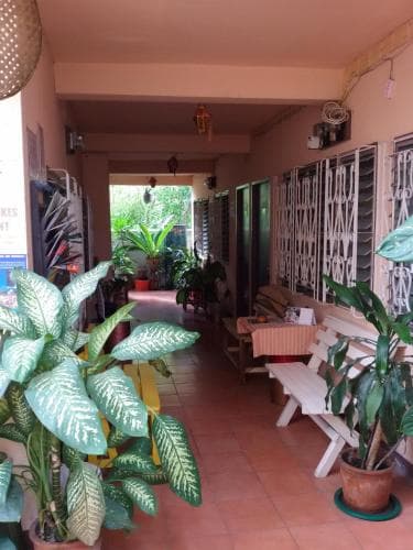 Vida Guesthouse