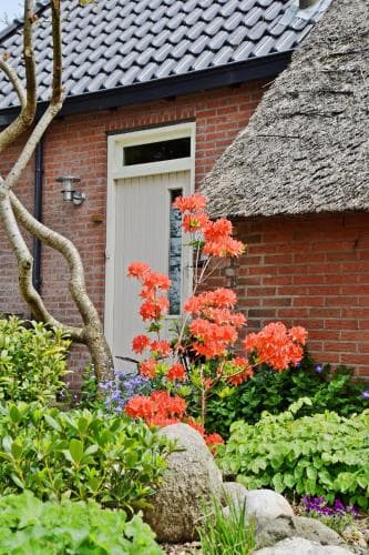 Justjesoars B & B