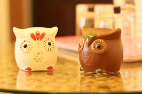 Owl House