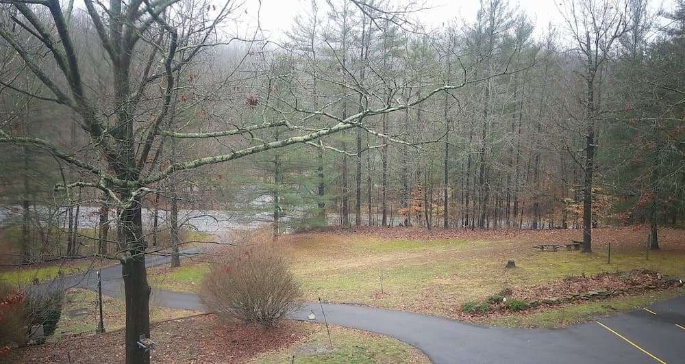 Lil Black Bear Inn