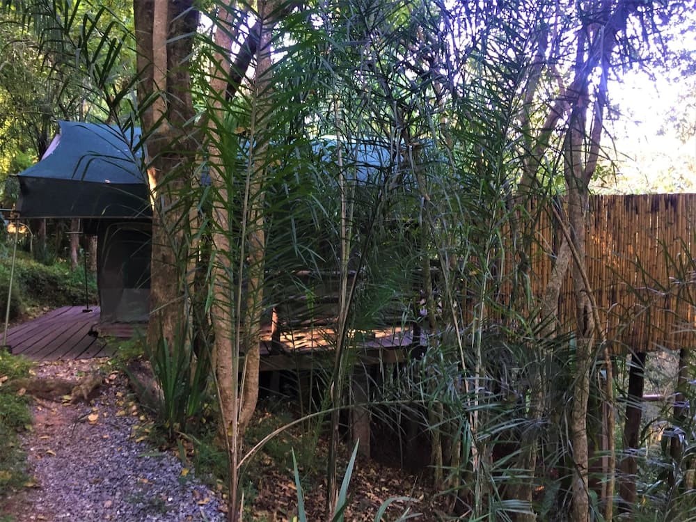 Phophonyane Falls Ecolodge