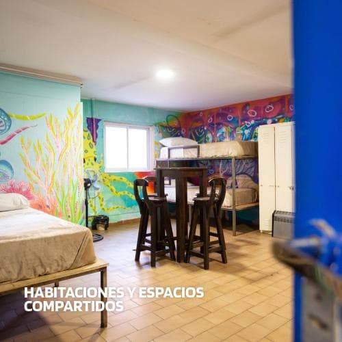 Greengo Hostel
