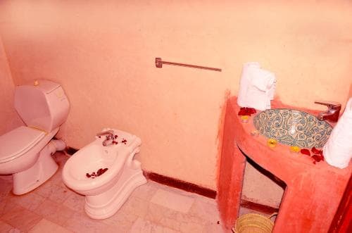 A cozy bathroom with warm terracotta walls features a toilet, bidet adorned with rose petals, a sink with a decorative basin, and neatly folded towels, ideal for travelers seeking a serene and intimate accommodation experience.