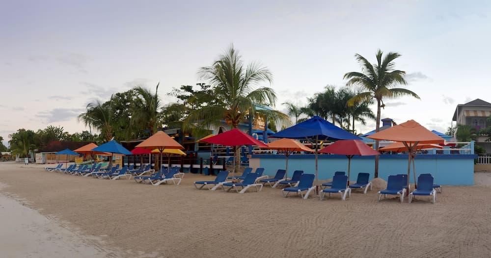 Negril Palms