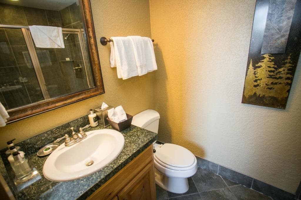 Shared Balcony Stunning Views & Steps from Slopes