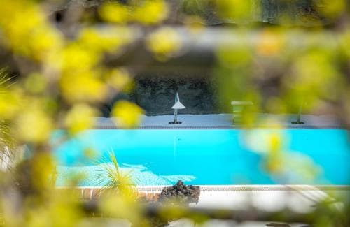 A serene resort pool framed by vibrant yellow foliage creates a tranquil atmosphere, perfect for relaxation and leisure travel.