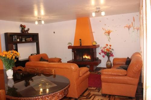 A cozy living room with warm orange leather furniture, a lit fireplace, vibrant floral arrangements, and a patterned rug creates an inviting atmosphere ideal for relaxation or a family vacation rental.