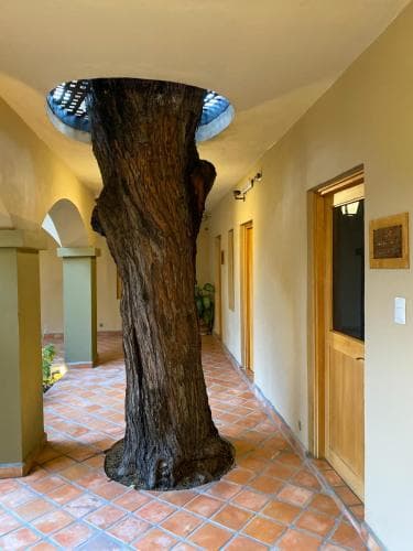 Casa Nare