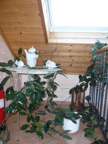 Haus Talblick