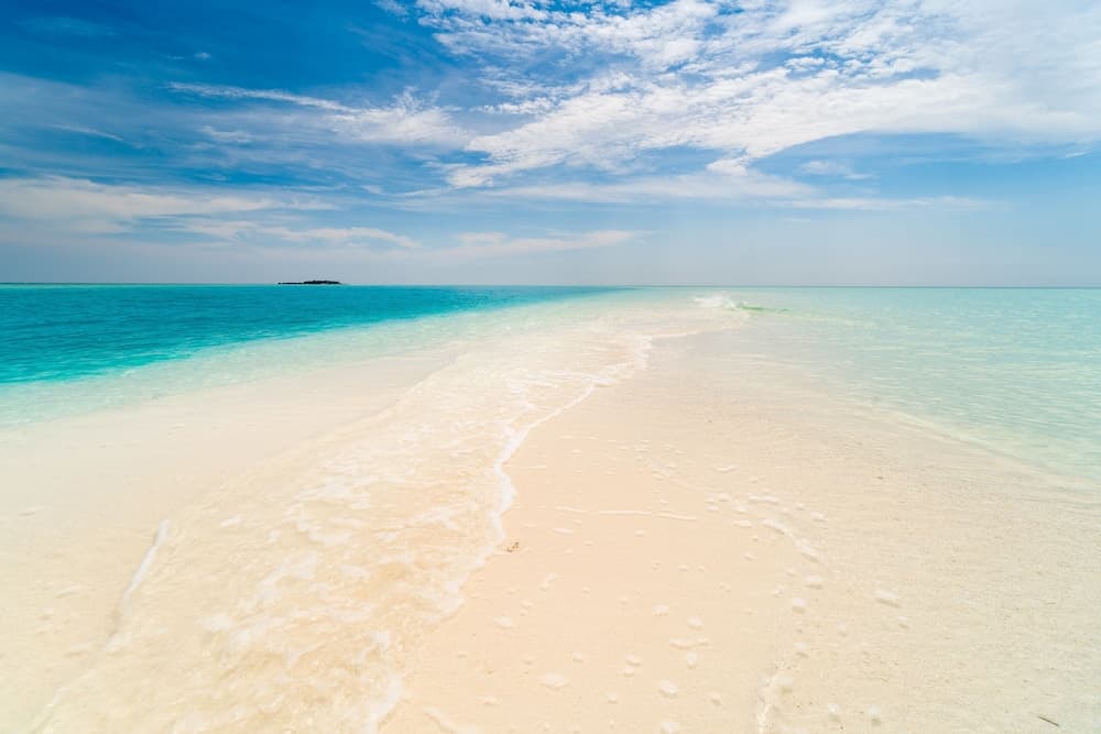 Aloha Rasdhoo