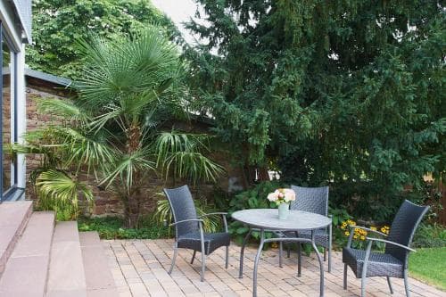 A serene outdoor patio features a cozy table set surrounded by lush greenery and palm plants, ideal for a tranquil retreat or a relaxing vacation spot.