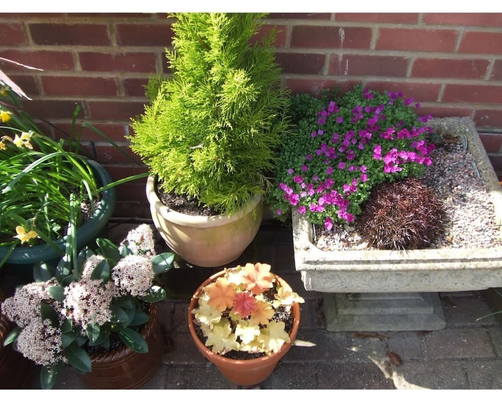31 Queens Road B&B