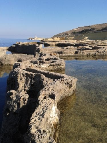 The Rigiana